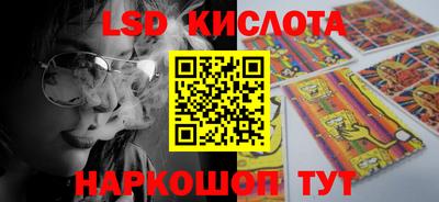 прущие грибы Краснознаменск